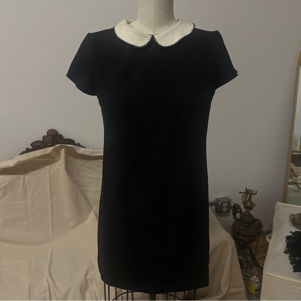60s style Little Black Mini Dress with White Peter Pan Collar